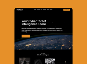 Black Room Intelligence website design