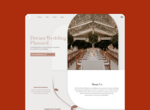 Wedsi website design